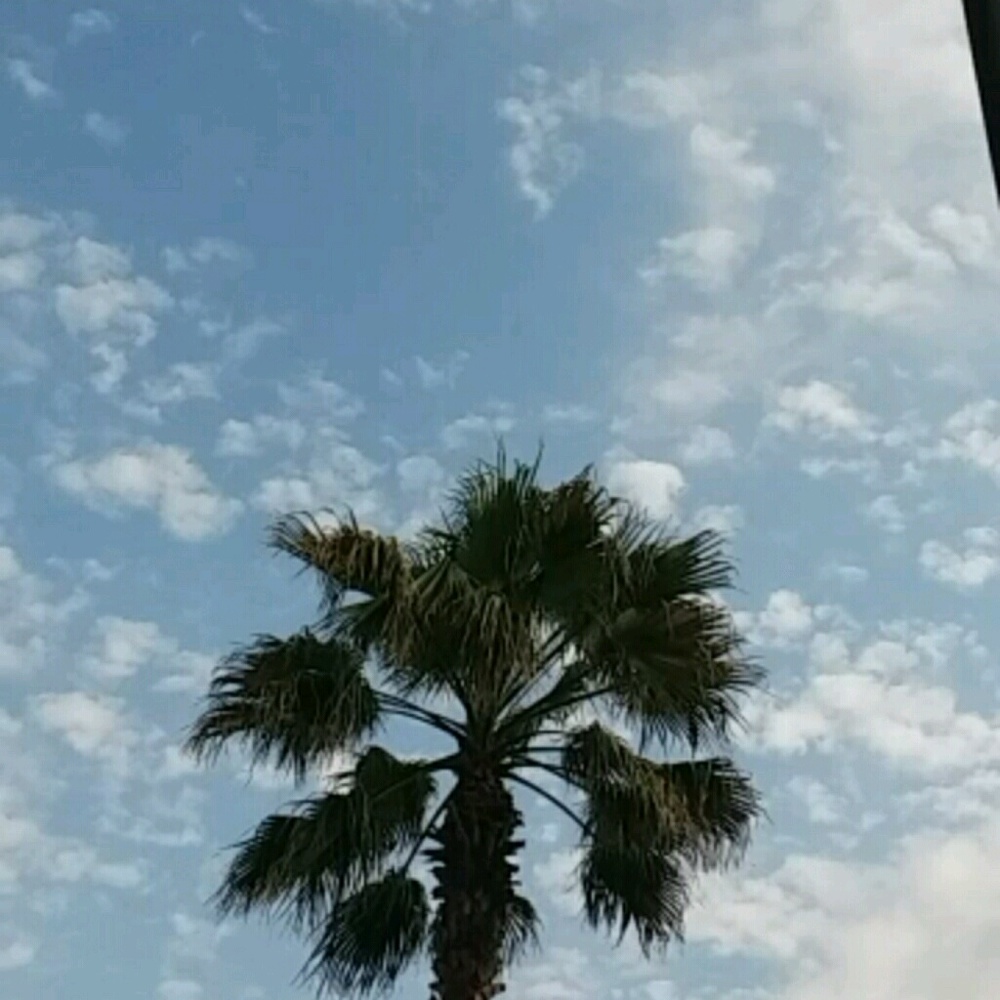 Meet your Posher, Betsy